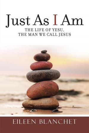 Cover of the book Just as I Am by tiaan gildenhuys