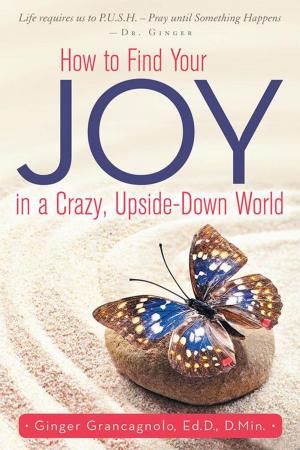 Book cover of How to Find Your Joy in a Crazy, Upside-Down World