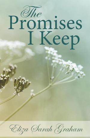 bigCover of the book The Promises I Keep by 
