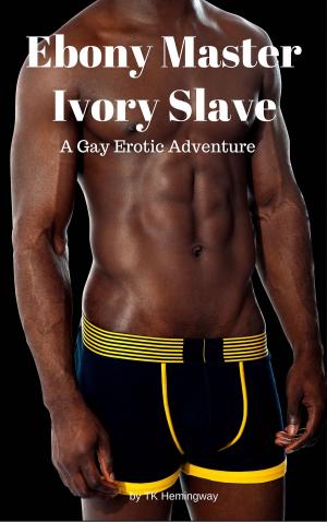 Cover of the book Ebony Master Ivory Slave by Selena Kitt