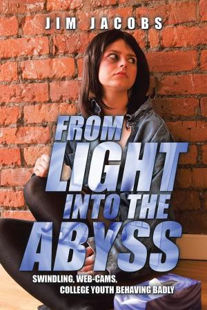 Cover of the book From Light into the Abyss by Steve Blankenship
