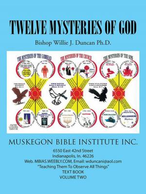 Cover of the book Twelve Mysteries of God by EDUARDO CHAPUNOFF, HOWARD PAUL
