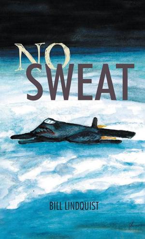 Cover of the book No Sweat by Brenda Strauch