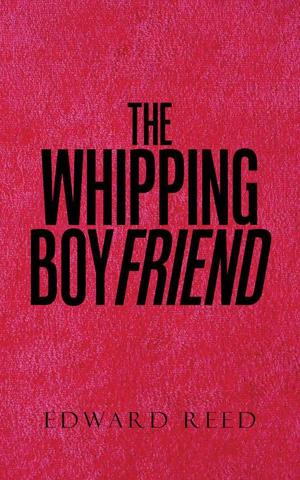 Cover of the book The Whipping Boyfriend by J.L. Powell
