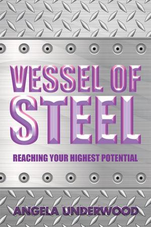 Cover of the book Vessel of Steel by Dr. Sherry L. Meinberg