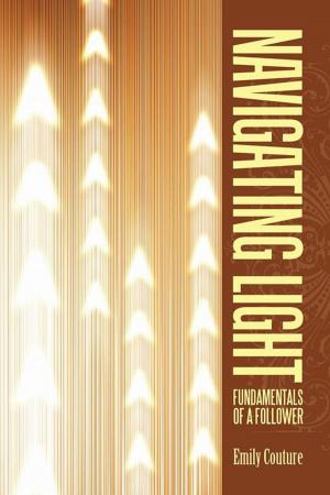 Book cover of Navigating Light