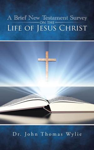Cover of the book A Brief New Testament Survey on the Life of Jesus Christ by David D. Holt
