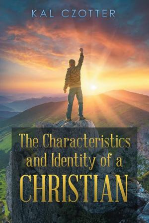 Cover of the book The Characteristics and Identity of a Christian by Wally Dyer Vaughan