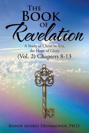 Cover of the book The Book of Revelation by Terrieanne E. Stott