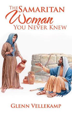 Cover of the book The Samaritan Woman You Never Knew by S J Hansford
