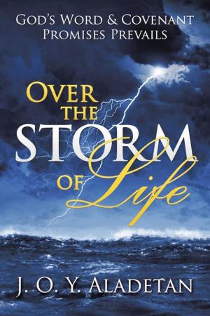 Cover of the book Over the Storm of Life by Allen Savva