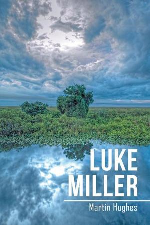 Cover of the book Luke Miller by David John Seear