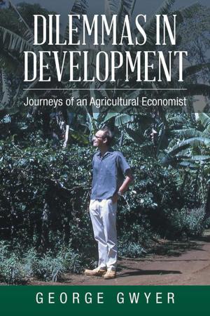 Cover of the book Dilemmas in Development by Zuriel Ann Murphy
