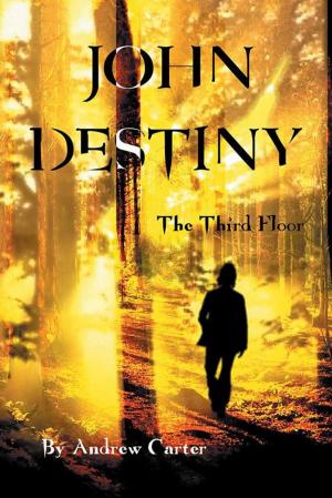 Book cover of John Destiny