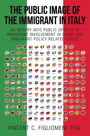 bigCover of the book The Public Image of the Immigrant in Italy by 