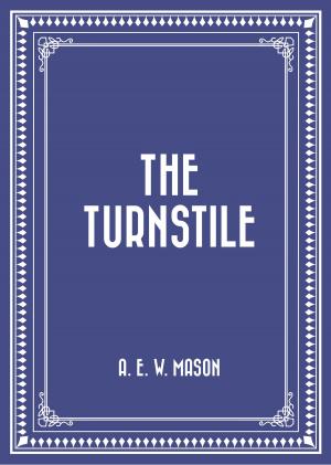 Cover of the book The Turnstile by Frances Hodgson Burnett