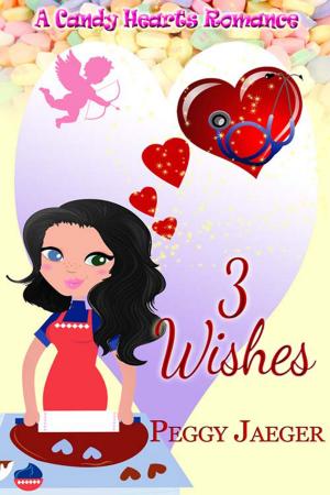 Cover of the book 3 Wishes by Stanalei  Fletcher