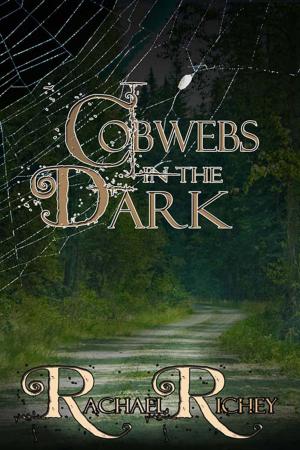 Cover of the book Cobwebs in the Dark by Barbara  Edwards