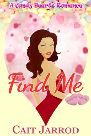 Cover of the book Find Me by Marin McGinnis