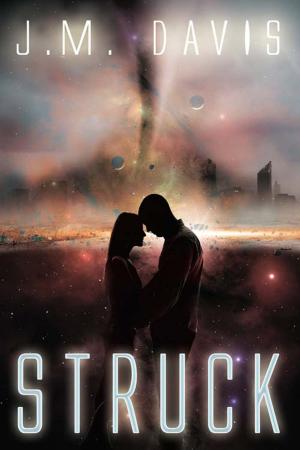 Cover of the book Struck by Ilona  Fridl