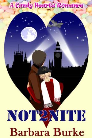 Cover of the book Not2Nite by Maria Imbalzano