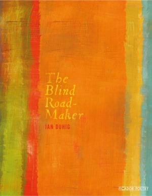 Cover of the book The Blind Roadmaker by Mark Lawson