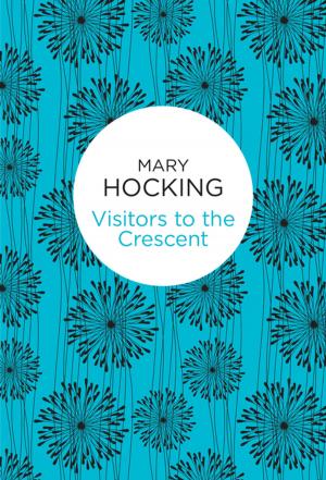 Cover of the book Visitors to the Crescent by Lucy Hounsom