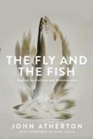 Cover of the book The Fly and the Fish by Mark Mathabane