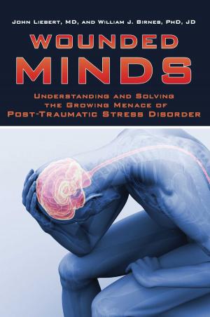 Cover of the book Wounded Minds by Michael S. Bernick, Richard Holden