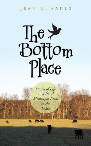 bigCover of the book The Bottom Place by 