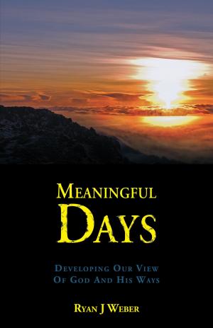 Cover of the book Meaningful Days by Les Alldredge