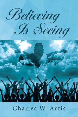 Cover of the book Believing Is Seeing by Alessandrina Lerner