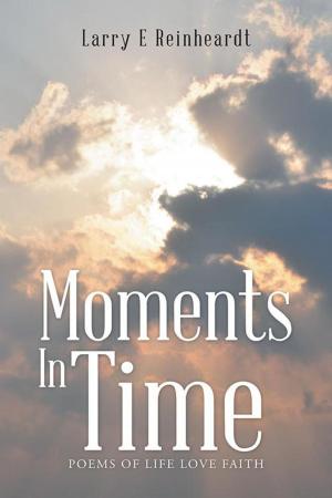 Cover of the book Moments in Time by Barbara Gilis