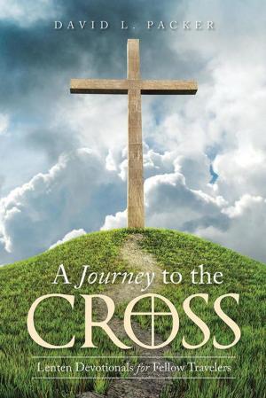 Cover of the book A Journey to the Cross by David W.T. Brattston