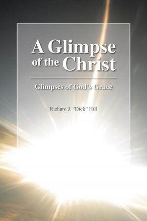 Cover of the book A Glimpse of the Christ by Rick Gales