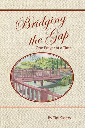 Cover of the book Bridging the Gap One Prayer at a Time by Jill Stanley