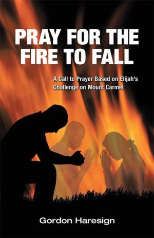 Cover of the book Pray for the Fire to Fall by Vonnie Cavanaugh
