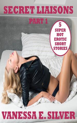 Book cover of Secret Liaisons Part 1 - 5 Super Hot Erotic Short Stories