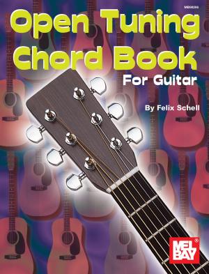 Cover of the book Open Tuning Chord Book by Mark Nelson