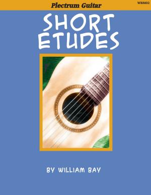 Book cover of Short Etudes