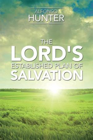 Cover of the book The Lord's Established Plan of Salvation by Melisa Calcote