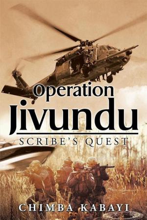 Cover of the book Operation Jivundu by P. J. Finer