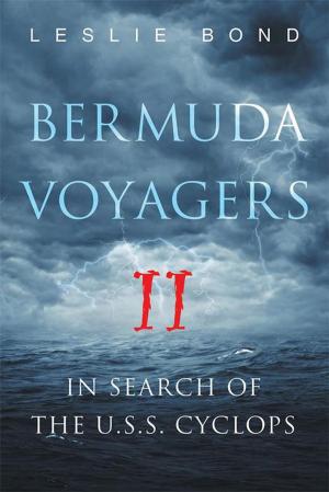 Cover of the book Bermuda Voyagers Ii by Daniel Knowles