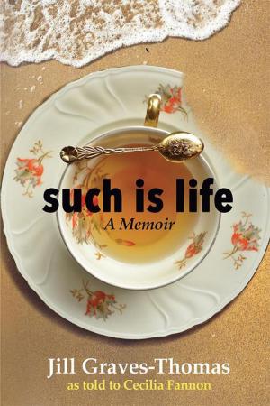 Cover of the book Such Is Life by Hugo D. Menendez