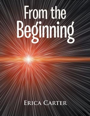 Cover of the book From the Beginning by T.J Bednar