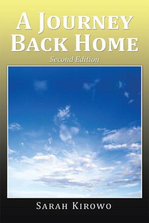 bigCover of the book A Journey Back Home by 