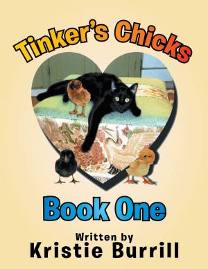 Cover of the book Tinker's Chicks by Jenny Shone
