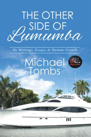 Cover of the book The Other Side of Lumumba by Alisha Marie Louis