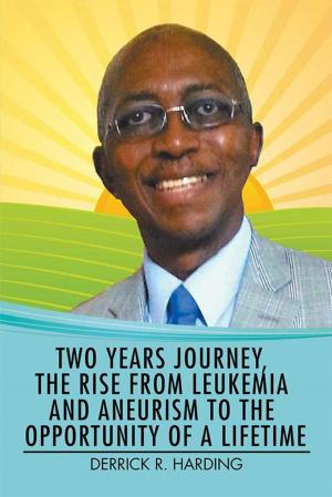 Cover of the book Two Years Journey, the Rise from Leukemia and Aneurysm to the Opportunity of a Lifetime by Bert Baberp