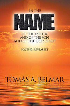 Cover of the book In the Name of the Father and of the Son and of the Holy Spirit by Idongesit Okpombor